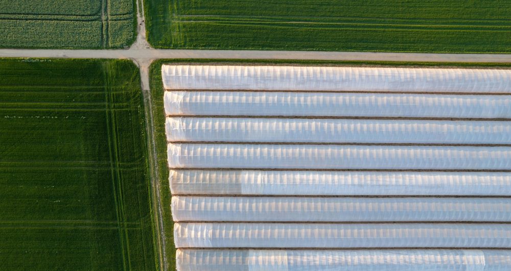 agreeculture or food system